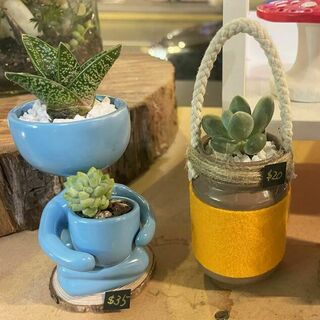 Hiros Plants