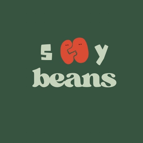 Soy Beans