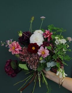 The Herbarium